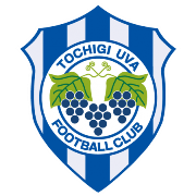 https://img.zangdichina.com/img/football/team/f7b1e46ae91edcb7a601279865025a44.png